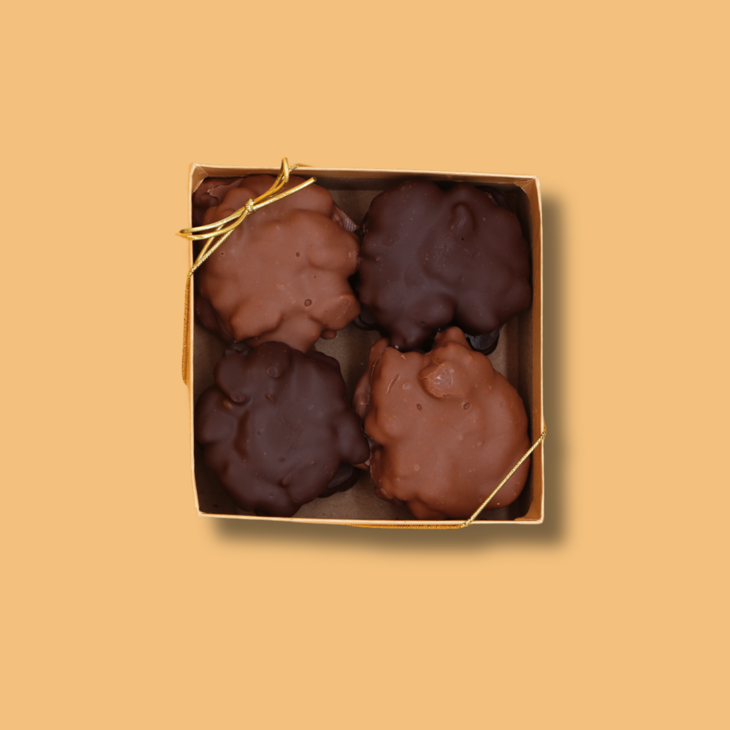 St. Croix Critters (8Pc)