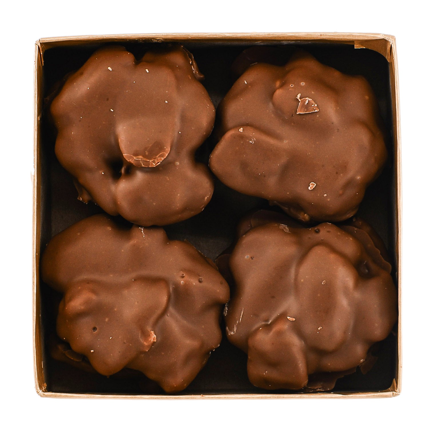 St. Croix Critters (8Pc)